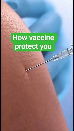 How Vaccines Work Inside the Body | 3D Medical Animation #medicalanimation #vacine