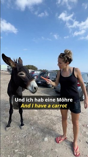How to say DONKEY 🫏 and CARROT 🥕 in German #learngerman