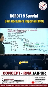 64K views · 964 reactions | 喙 NORCET 9 Special! Boost your Nursing Exam prep with these must-know Skin Receptors MCQs. Perfect for quick revision and scoring high! Don’t miss out — practice now and ace your exam! #NORCET9 #NursingExam #SkinReceptors #MCQPractice #NursingPreparation #ConceptRNA | Concept RNA Nursing Coaching | Facebook