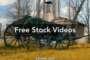 Cart Videos, Download The BEST Free 4k Stock Video Footage & Cart HD Video Clips