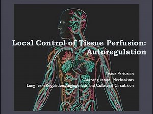 Autoregulation of Blood Flow