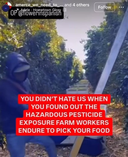 535K views · 29K reactions | All facts | The Tennessee Holler | Facebook