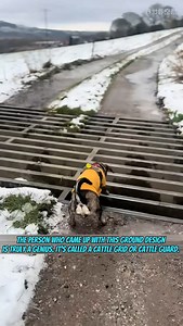 This Simple Hack Saves Farmers Time & Money 💰#farmer #farming #farmlife #inventions #genius #construction #factory #ingeneering #innovation #didyouknow #ingenious #why #gadgets | Iqutech