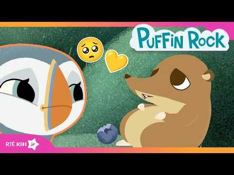 🐧 Can Oona and Baba Help Mossy Unblock the Tunnel? 🍃🫐 | PART 1 | Puffin Rock | ‪@RTÉKIDSjr‬