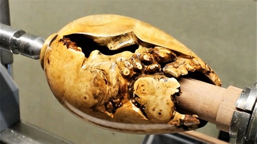 Wood Burls Always Hide Surprises