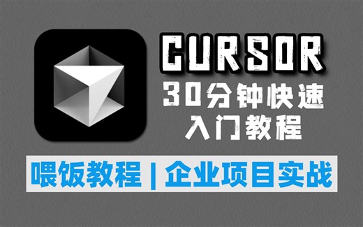 手把手教你入门Cursor！30分钟搞定企业级项目实战，提升工作效率！新手也可以上手体验！大模型|LLM|Cursor