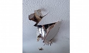 Video shows tree crashed into house, after homeowner warned council 'for years' over danger