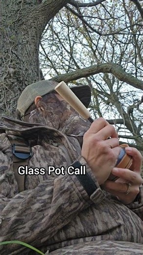 Eastern turkeys will test every skill you've got. 🦃