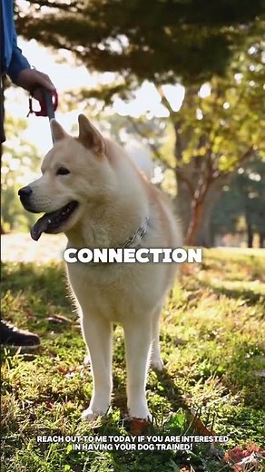 Why you need follow up training