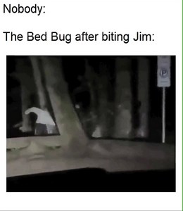 193K views · 1.8K reactions | So smug. | The Office Memes | Facebook