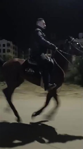 Discover Authentic Arabic Horse Music