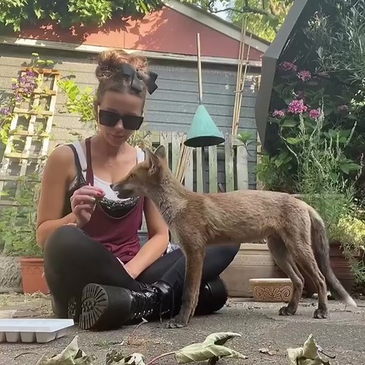 Kate..Beckinsale (@kate..beckinsale)’s videos with original sound - Kate..Beckinsale