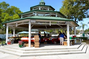 How Walkable is Safety Harbor?