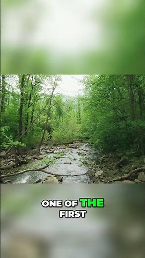 Uncovering Humanity's Origins The Dmanisi Discoveries