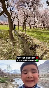 8.2K views · 76 reactions | Paramount Adventure Club on Reels | Facebook