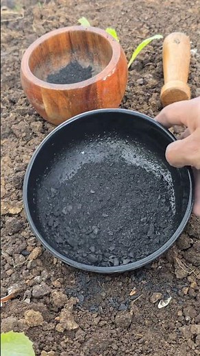 👉 How to make activated biochar for your plants 🌱🔥 #garden #plants #agriculture