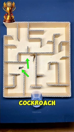 centipede vs cockroach 🤯| #shortvideo