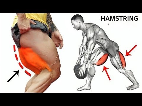 8 Best Hamstring Workout, Powerfull Exercises For Huge Hamstring !