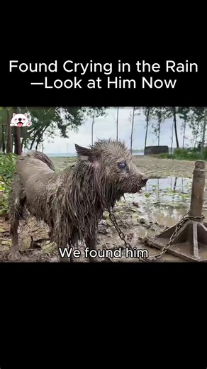 https://vm.tiktok.com/ZSqoRgtRa/ This post is shared via TikTok Lite.