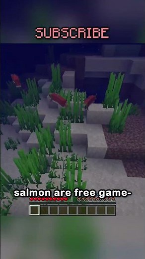 Minecraft, But I Have To Follow The Law