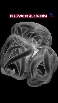 What is the Hemoglobin and it's composition || #hemoglobin #blood