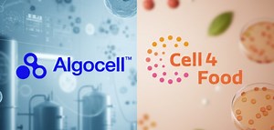 Cell4Food Partners With Algocell to Build Foundation for Scalable Cellular Aquaculture