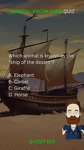 General Knowledge Quiz 📚🐘🗽 #quiz #quizybee #fyp | Quizzy Bee