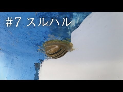 【ヨットで必須のメンテナンス】ヨットのメンテナンス７