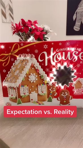 Expectation vs. reality 😅 #expectationvsreality #merrychristmas @tepsi_cola