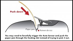 Watch AmazonBasics 8-Sheet Strip-Cut Paper, CD, and Credit Card Shredder on Amazon Live