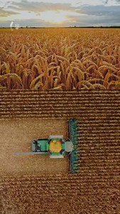 Food from Ukraine goes beyond just export – it’s about agricultural resilience, innovation, and long-term partnerships. Since 2022, the Grain from Ukraine humanitarian programme has raised over $370 million and delivered food to people in need across 18 destinations. With support from 29 donor states, millions of people have received essential wheat, flour, sunflower oil, and pulses – all produced in Ukraine. Now, with Food from Ukraine, the focus is not only on delivering food for people, but o