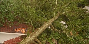 PHOTOS: Several areas hit hard by Wednesday storms; 3 tornadoes confirmed in La.