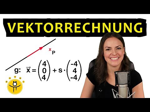 VEKTOREN 12. Klasse – Grundlagen