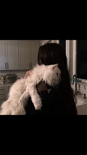 Mahir Fareed's Journey with Unfreezing Accounts