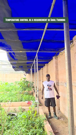 Essential Geography Skills for Successful Snail Farming