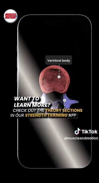 Understanding Vertebra Anatomy for Fitness Training