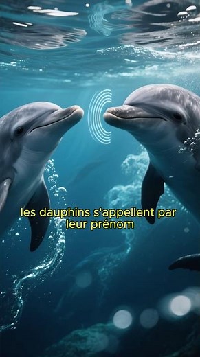 5 Animaux INCROYABLEMENT INTELLIGENTS 🧠 | Leurs Capacités Vont Te Choquer !