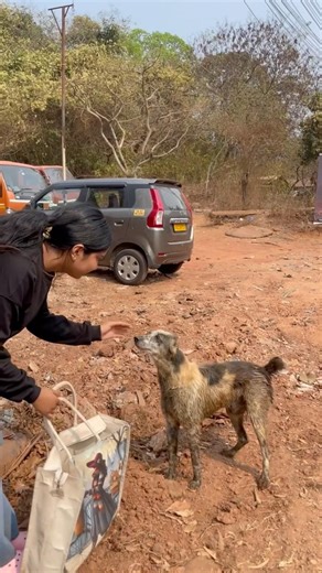 In This Burning Heat… He Only Needed Kindness🥺🥺#streetdog #viral #shorts