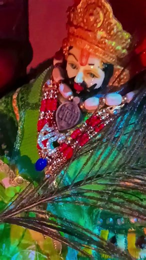 #मुझे अपने रंग मे रंग दे मेरे भाई सवारे 🥰🙏🌹जय श्री श्याम 🥰❤️🙏