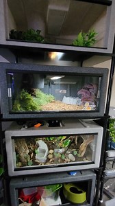 So many ways to stack your Vision Cages #visionproducts #visioncage #snake #lizard #tortoise #reptile #pet #reptileenclosure #lizardenclosure #snakeenclosure #reptilesofinstagram #enclosure | Vision Products