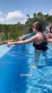 Dusty Dubs Funny Animal Voiceovers 🤣 | Dusty Dubs