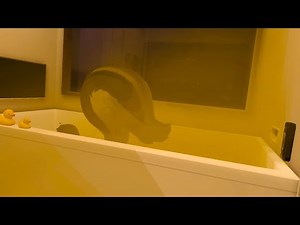 The fart bath room #1