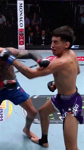 UFC Noche 2026