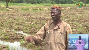 28K views · 1.8K reactions | Zoom sur la production du riz à Sindou | RTB | Facebook