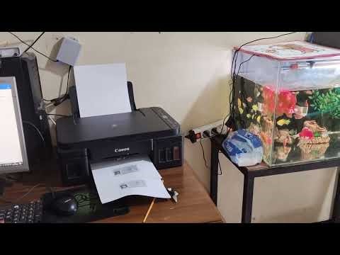 How to Fix Canon G2010 Printer Error P02, Fixed Canon Printer P02 Maintenance