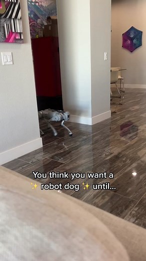 Not the nuts and bolts 🙄 #bionyx #robotdog #unitree #robotics #robots #dog
