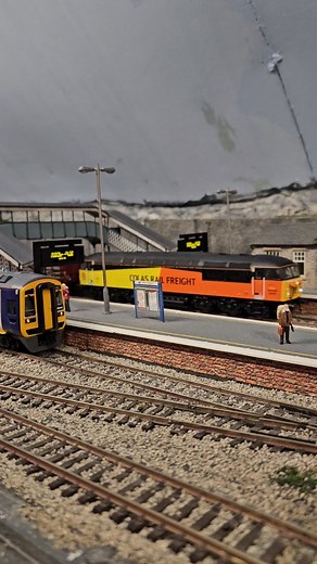 Hornby Colas rail class 56 with a log train & Dapol DRS with a Tesco container train #loftmodelrailway #modelrailway #modeltrains #00gaugerailway #00gaugemodelrailway #hornbyrailways #hornbytrains #dapoltrains #bachmannbranchline | North West Trains