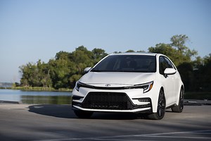 3 Current Car Models Named After Plants and Trees