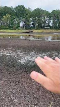 Build a trophy bass pond -Often ignored facts