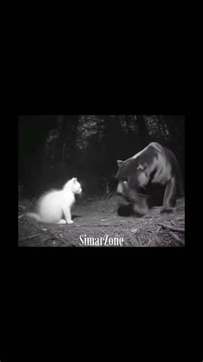 Love you🌝 #simar #lovemusic #darkromance #shorts